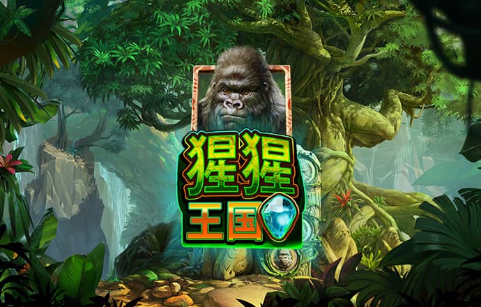 毕骅江